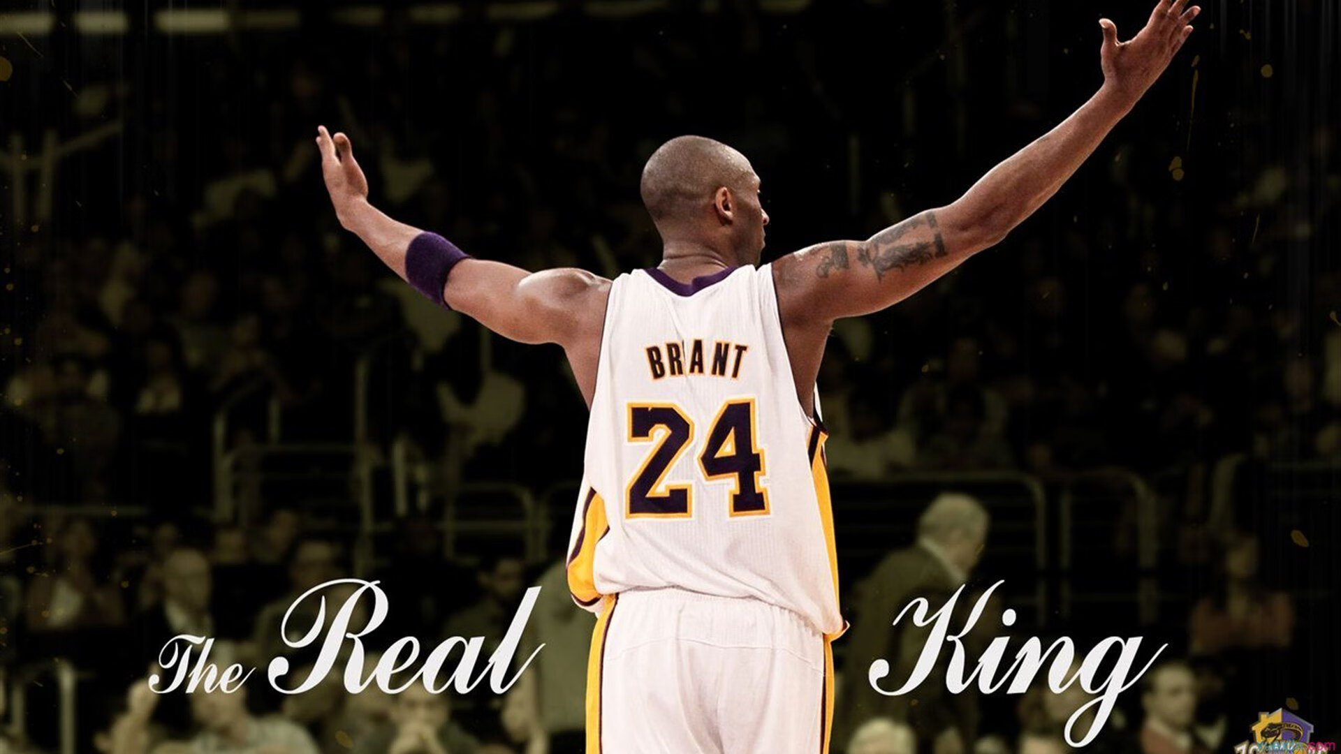 独步围场，当梅赛德斯以绝对统治力完胜阿斯顿马丁，周冠宇缔造中国赛车唯一传奇